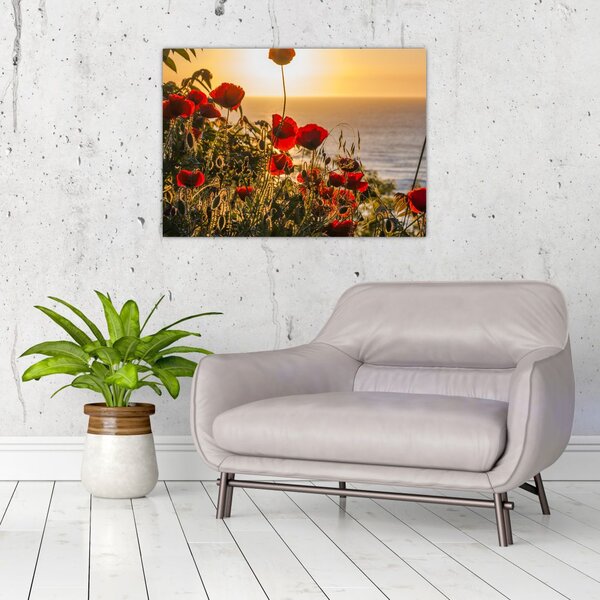 Slika zalaska sunca s makovima (70x50 cm)