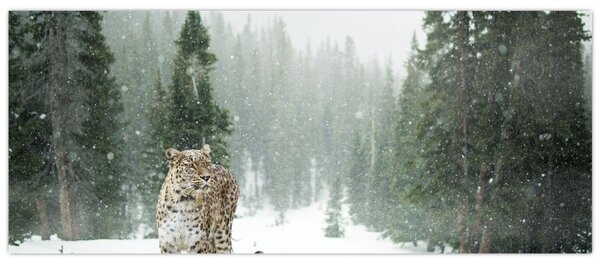 Slika leoparda u snijegu (120x50 cm)