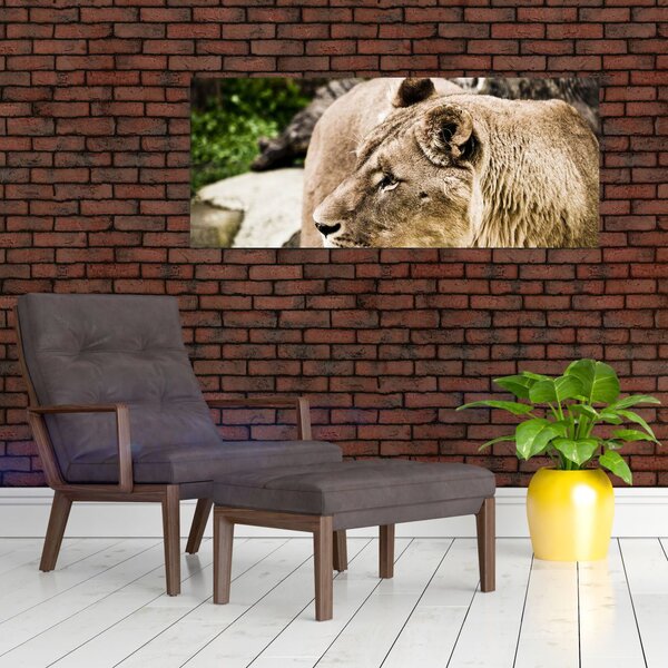 Slika lavice (120x50 cm)