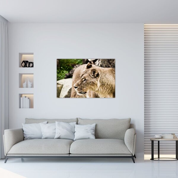 Slika lavice (90x60 cm)