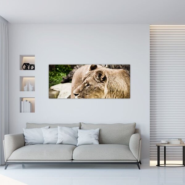 Slika lavice (120x50 cm)