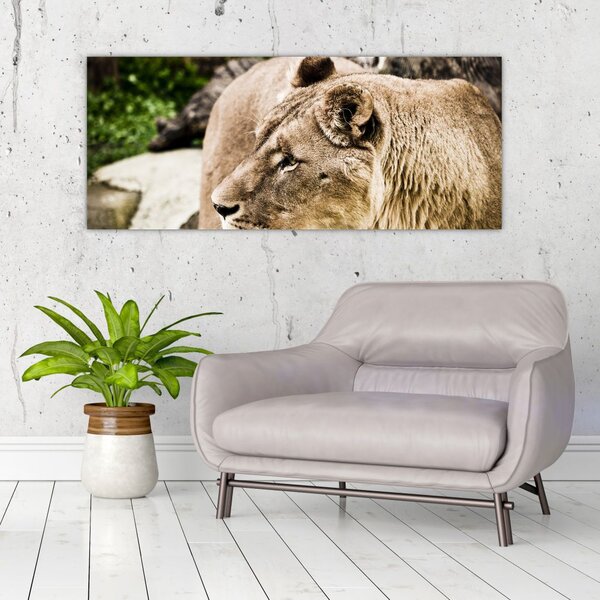 Slika lavice (120x50 cm)