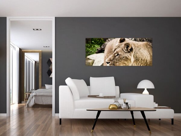 Slika lavice (120x50 cm)