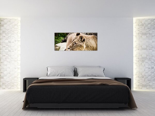 Slika lavice (120x50 cm)