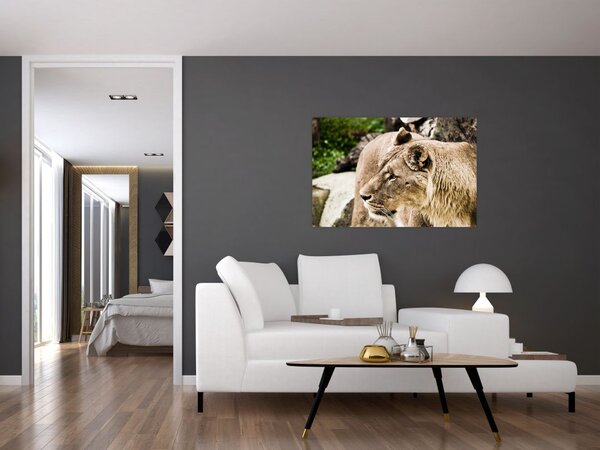 Slika lavice (90x60 cm)