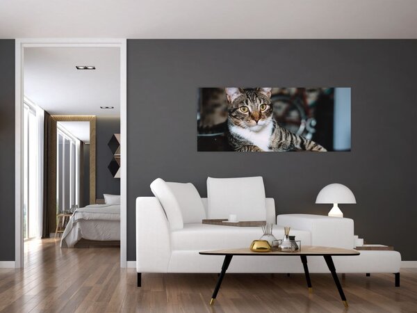 Slika mačke (120x50 cm)