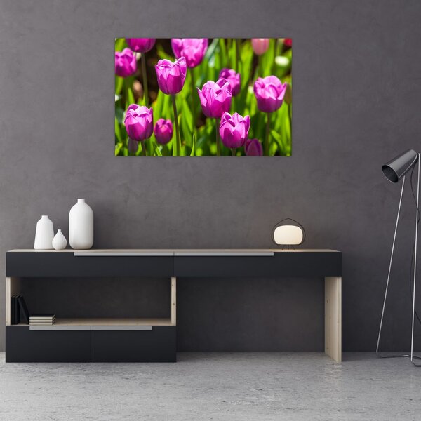 Slika tulipana na livadi (90x60 cm)
