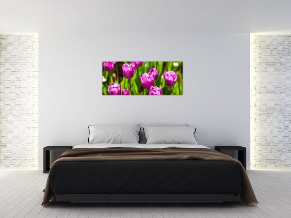Slika tulipana na livadi (120x50 cm)