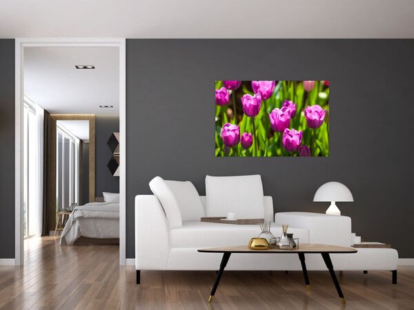 Slika tulipana na livadi (90x60 cm)