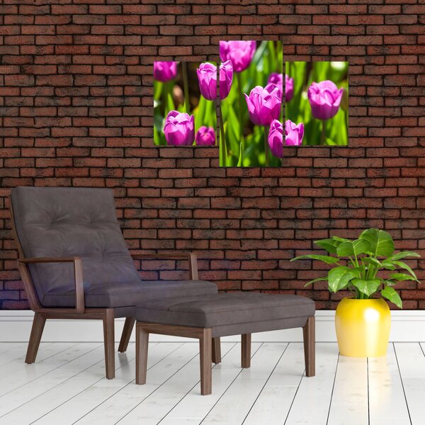 Slika tulipana na livadi (90x60 cm)