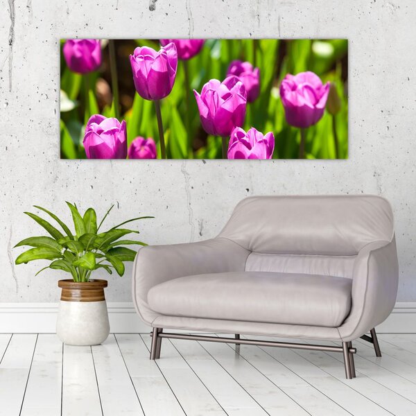 Slika tulipana na livadi (120x50 cm)