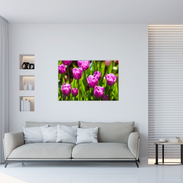 Slika tulipana na livadi (90x60 cm)