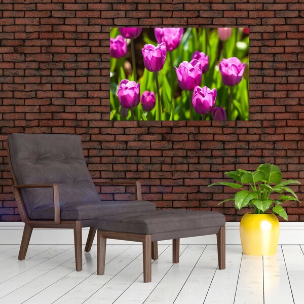 Slika tulipana na livadi (90x60 cm)