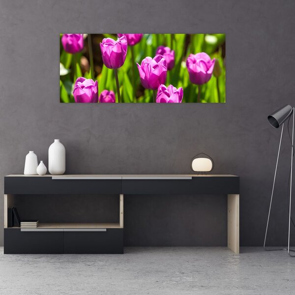 Slika tulipana na livadi (120x50 cm)