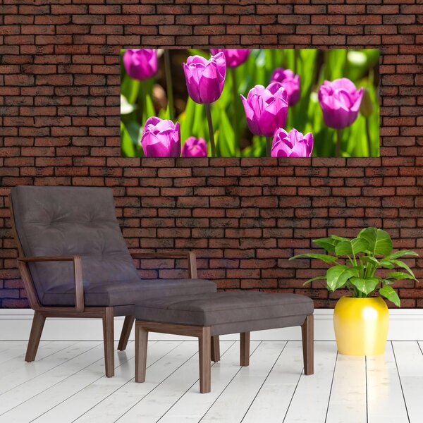 Slika tulipana na livadi (120x50 cm)