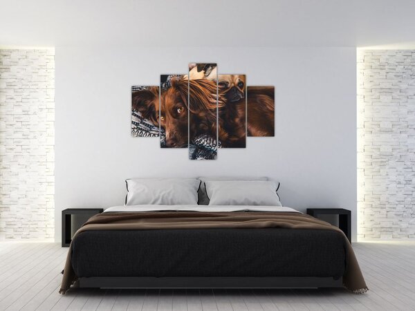 Slika pasa koji leže (150x105 cm)
