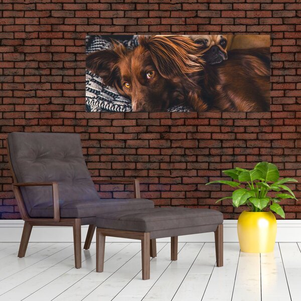 Slika pasa koji leže (120x50 cm)