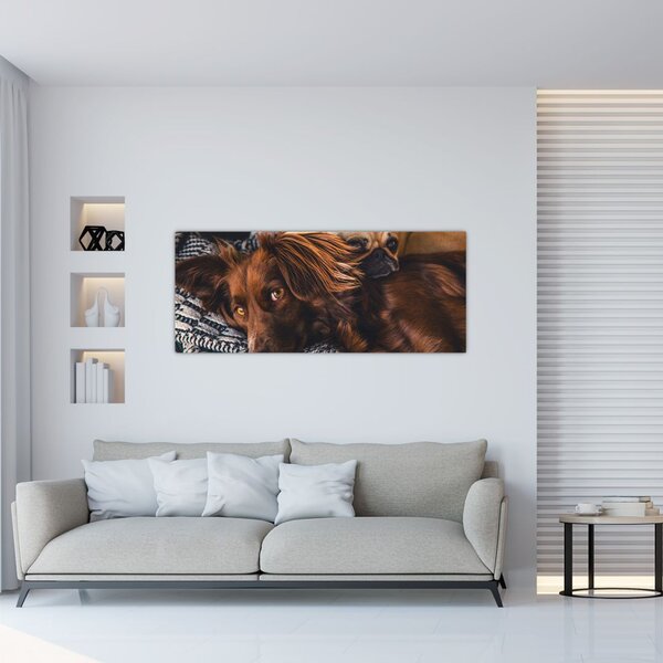 Slika pasa koji leže (120x50 cm)
