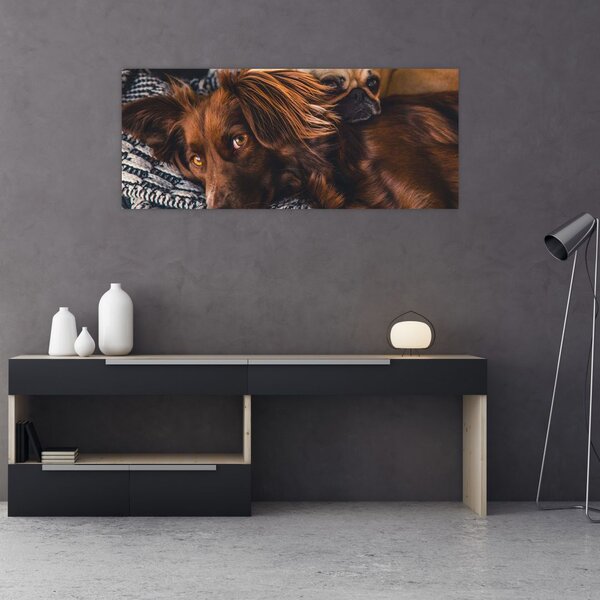 Slika pasa koji leže (120x50 cm)