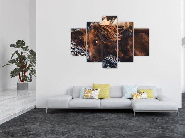 Slika pasa koji leže (150x105 cm)