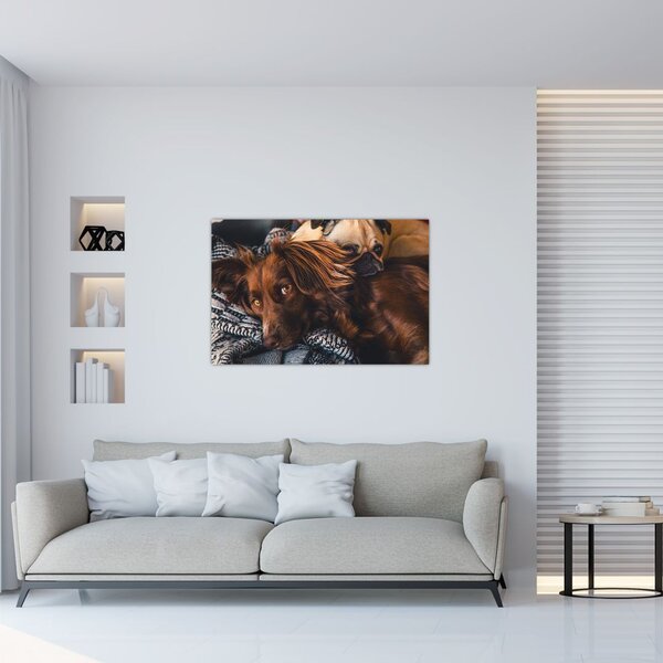 Slika pasa koji leže (90x60 cm)