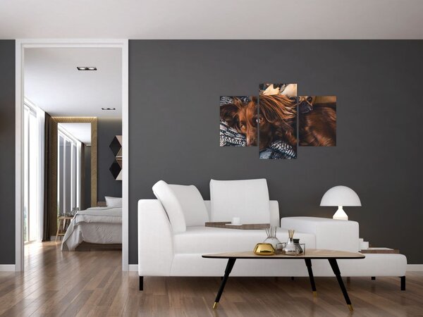Slika pasa koji leže (90x60 cm)