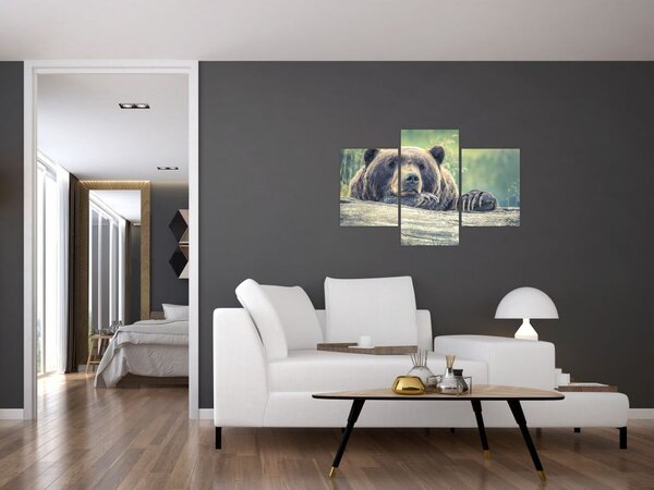 Slika medvjeda (90x60 cm)