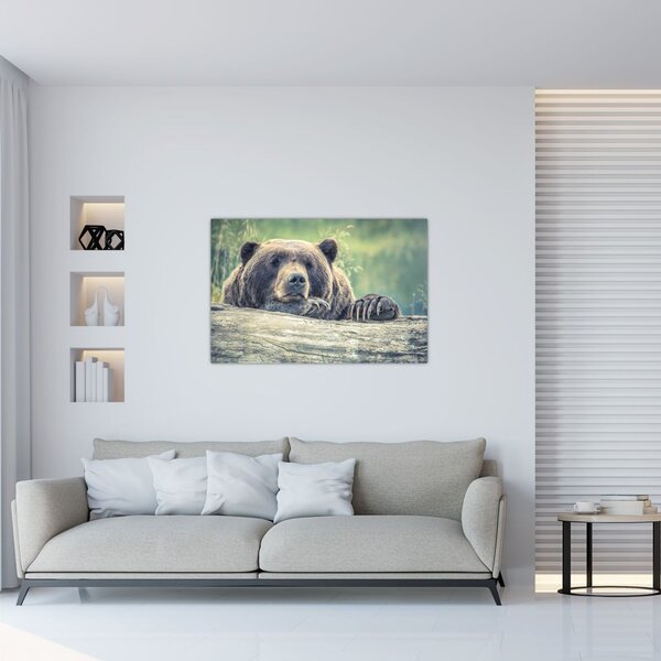Slika medvjeda (90x60 cm)