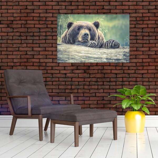 Slika medvjeda (90x60 cm)