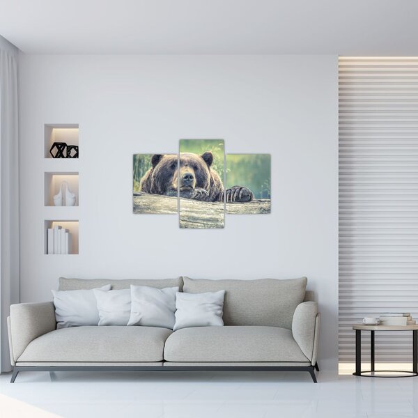 Slika medvjeda (90x60 cm)