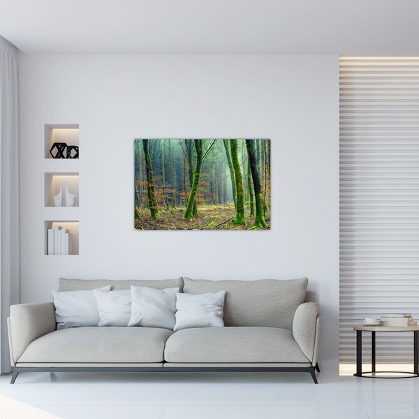 Slika šume (90x60 cm)