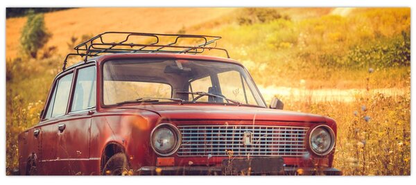 Slika automobila u polju (120x50 cm)