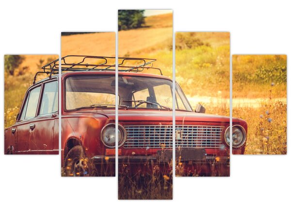 Slika automobila u polju (150x105 cm)