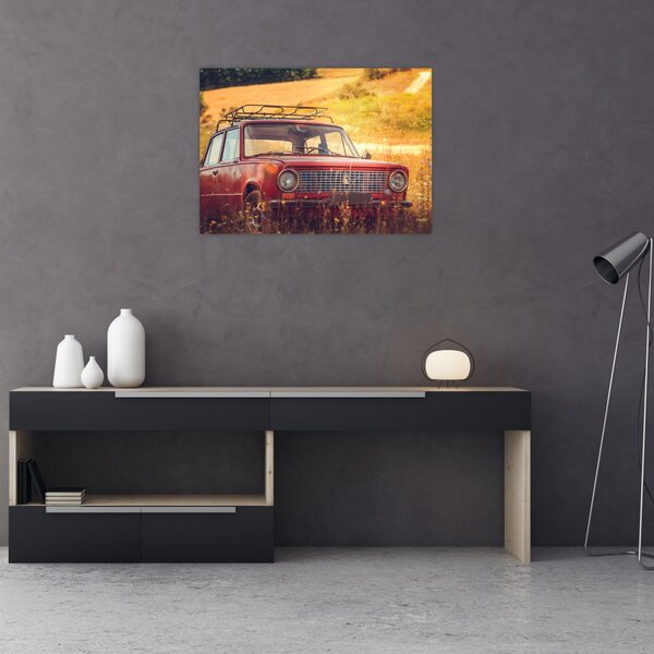 Slika automobila u polju (70x50 cm)