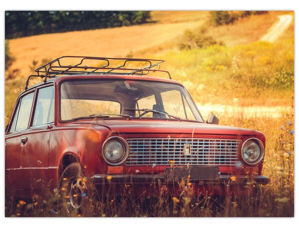 Slika automobila u polju (70x50 cm)