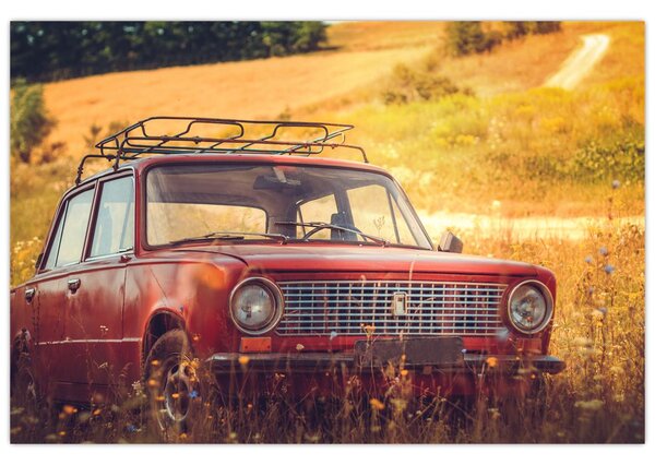 Slika automobila u polju (90x60 cm)