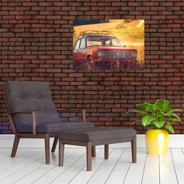 Slika automobila u polju (70x50 cm)