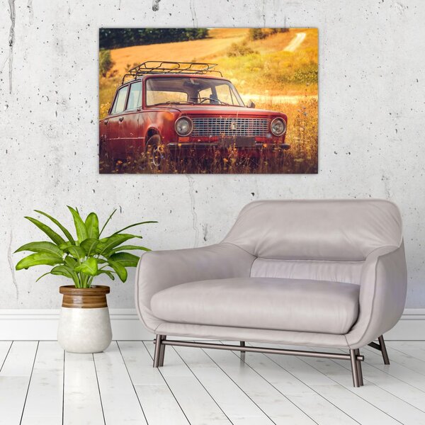 Slika automobila u polju (90x60 cm)