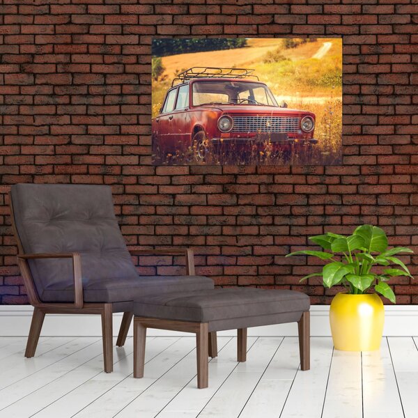 Slika automobila u polju (90x60 cm)