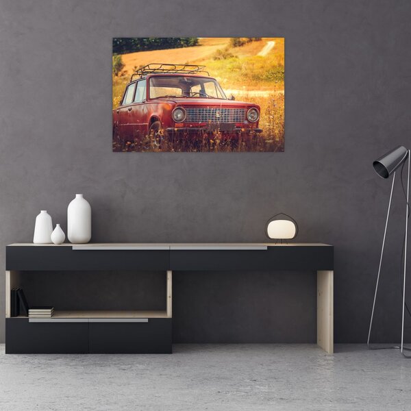 Slika automobila u polju (90x60 cm)