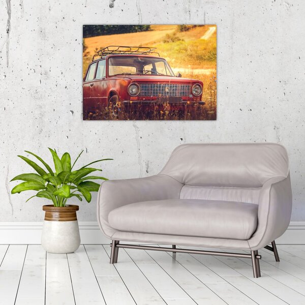 Slika automobila u polju (70x50 cm)