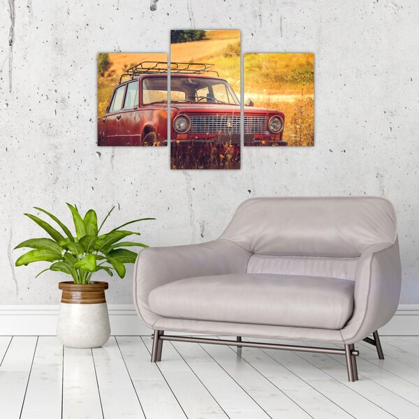 Slika automobila u polju (90x60 cm)