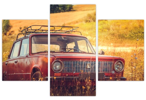 Slika automobila u polju (90x60 cm)