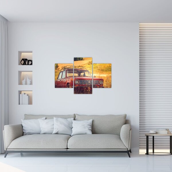 Slika automobila u polju (90x60 cm)