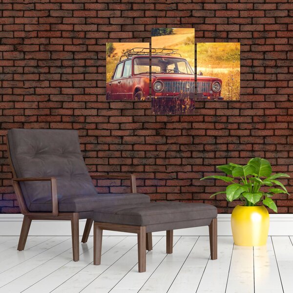 Slika automobila u polju (90x60 cm)
