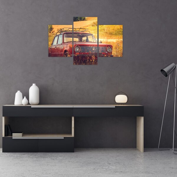 Slika automobila u polju (90x60 cm)