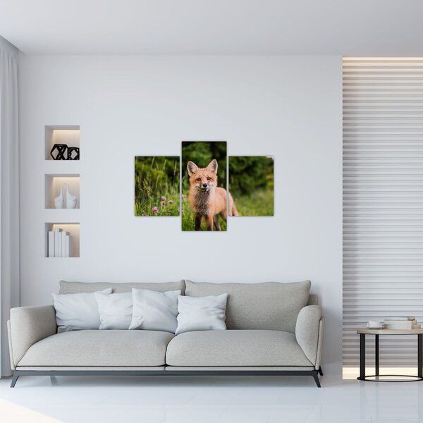 Slika lisice (90x60 cm)