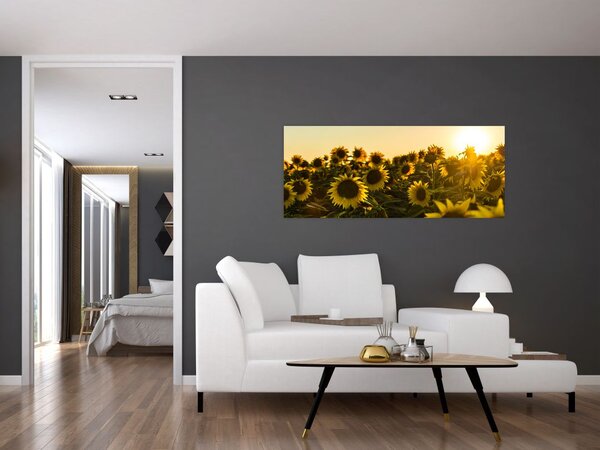 Slika polja suncokreta (120x50 cm)