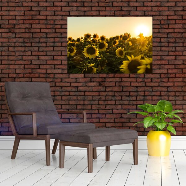 Slika polja suncokreta (90x60 cm)