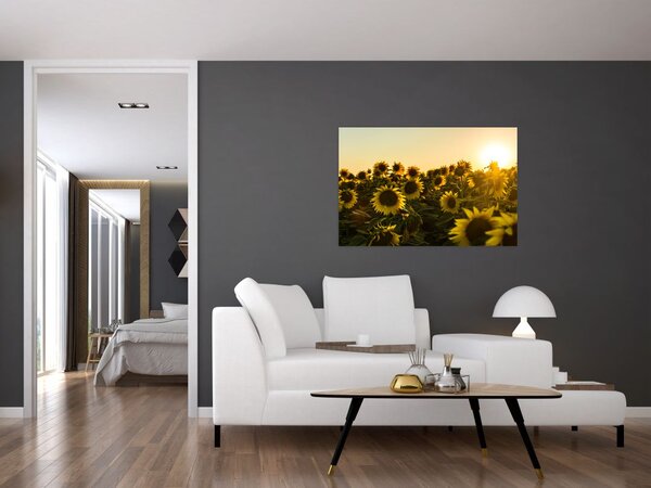 Slika polja suncokreta (90x60 cm)
